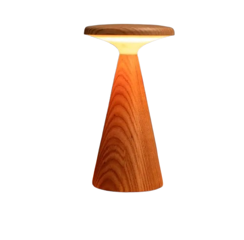 Светильник на аккумуляторе Gingko Sylva Large (LED теплый свет + RGB) Белый ясень Винница - изображение 8