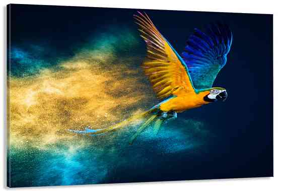 Картина полотно у вітальню / спальню  Пташка Папуга   MLP_385 ( 60х30см ) 90х180см Київ