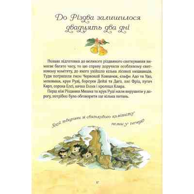 Книга Різдвяна Мишка в зимовій країні чудес. Адвент-календар - Фрідерун Райхенштеттер, Аліса Келін Vivat (9789669829351) Вінниця