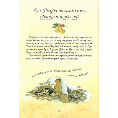 Книга Різдвяна Мишка в зимовій країні чудес. Адвент-календар - Фрідерун Райхенштеттер, Аліса Келін Vivat (9789669829351) Винница - изображение 3