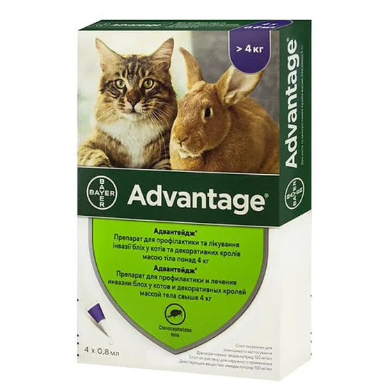 Краплі на холку від бліх і кліщів для котів і кроликів Bayer Advantage 80 No4 (Байєр Адвантейдж) 4-8 кг 4 піпетки Запоріжжя