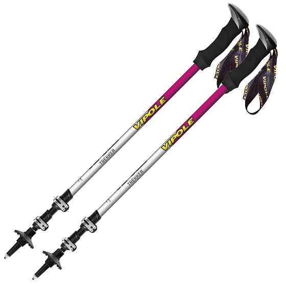 Палки трекинговые Vipole Trekker Violet (S25 11) Вінниця