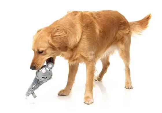 М'яка іграшка для собак FuzzYard Криска Луцк