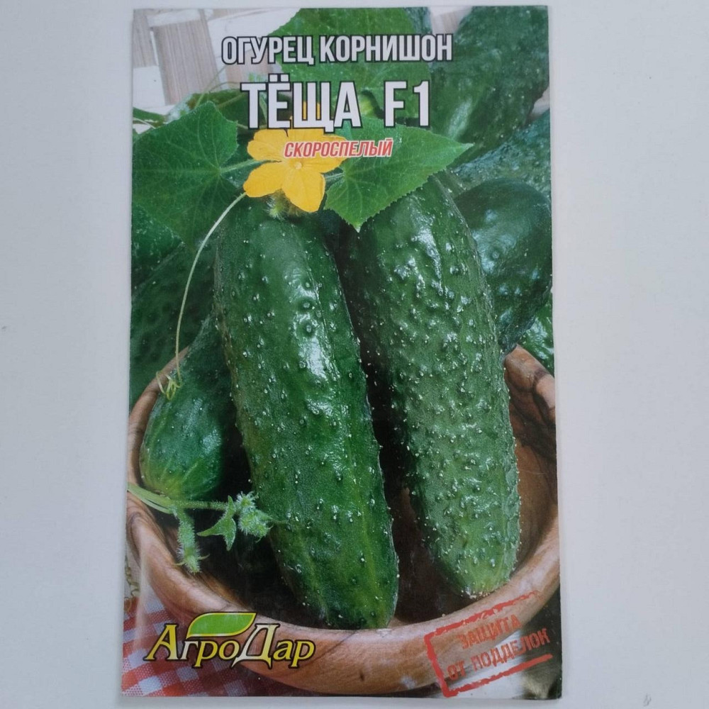 Огірок "Теща F1" 5 гр Харків - фото 1