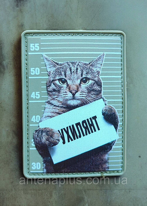 Кіт Ухилянтт олива патч / шеврон Київ - фото 1