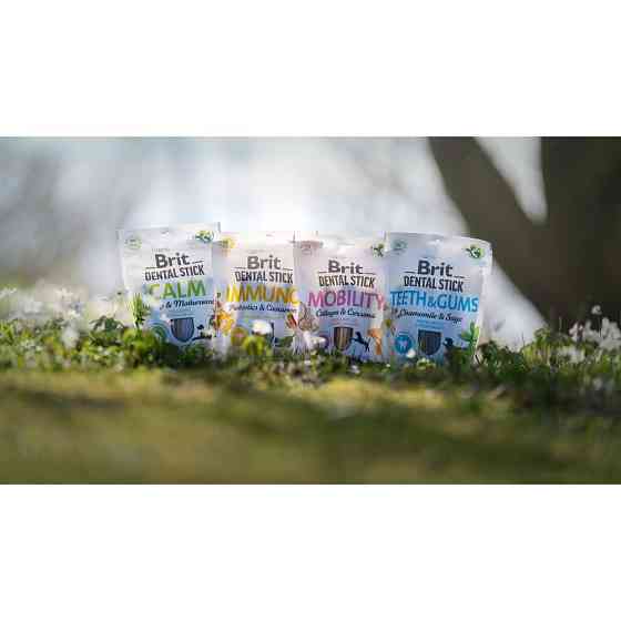 Лакомства для собак Brit Dental Stick Mobility для мобильности суставов, коллаген и куркума, 7 шт, 251 г Винница