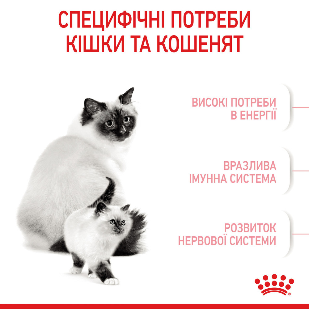 Корм для кошенят віком від 1 до 4 місяців і кішок під час вагітності ROYAL CANIN MOTHER&BABYCAT 0.4 кг Київ - фото 5