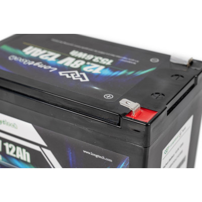 Батарея LiFePo4 Longttech LiFePO4 12.8V - 12Ah (LAR1212-LT12-R32) Винница - изображение 7