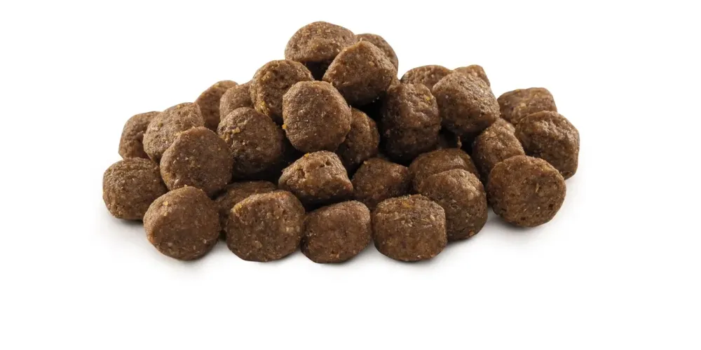 Сухий корм Бріт Brit Premium Junior М для цуценят і молодих собак великих порід віком від 2 до 12 місяців, 1 кг Вінниця - фото 2