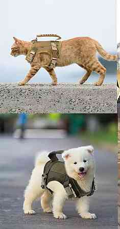 Шлея для собак та кішок One Size камуфляжний Київ