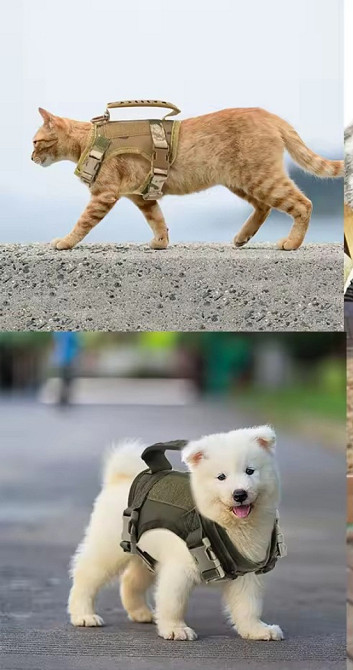 Шлея для собак та кішок One Size камуфляжний Київ - фото 2