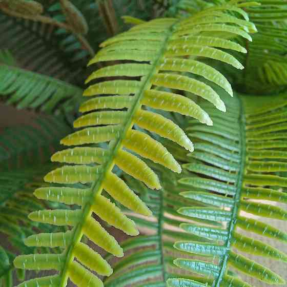 Штучний кущ міні папороті з латексу Дніпро