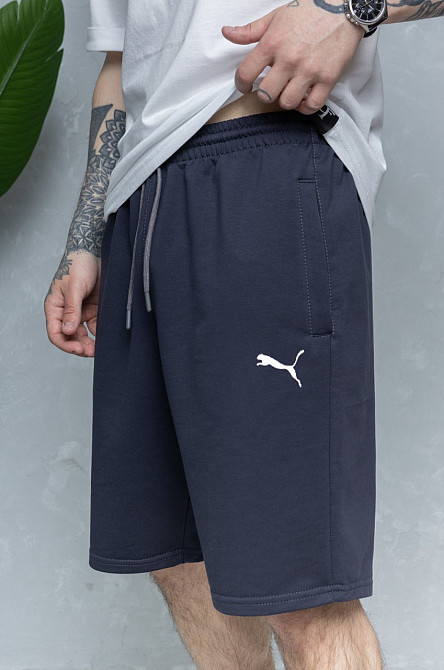 Шорти чоловічі спортивні Сірий 52 Харків - фото 1