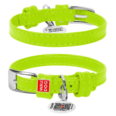 Ошейник для животных WAUDOG Glamour с QR паспортом без украшений XS Ш 15 мм салатовый (32705) Винница - изображение 1