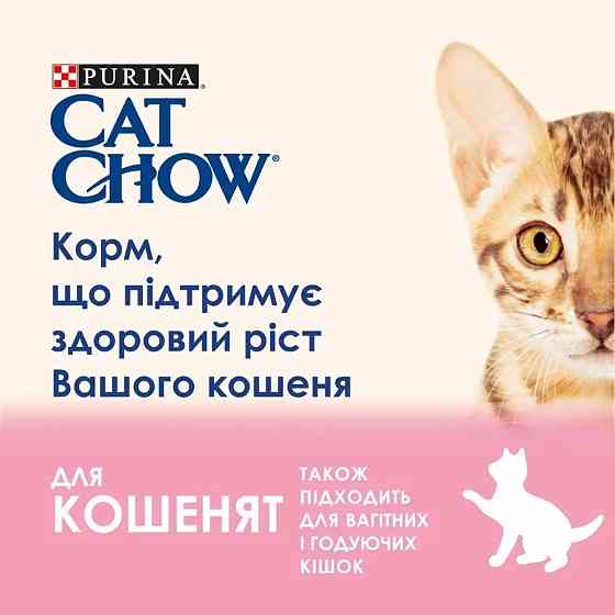 Вологий корм CAT CHOW Kitten для кошенят, шматочки у підливці, з ягням та цукіні, 85 г Київ