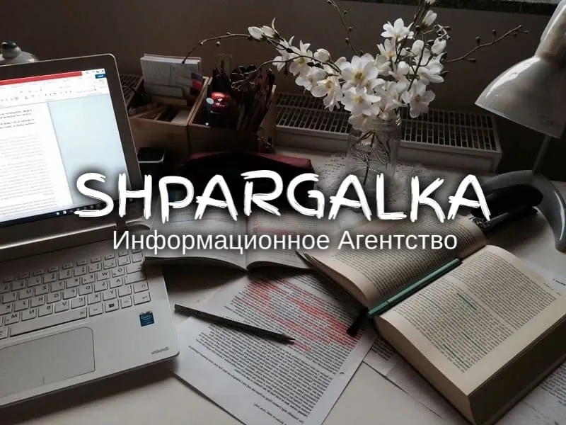 Обзор литературы для дипломной работы на заказ в Украине Днепр - изображение 1