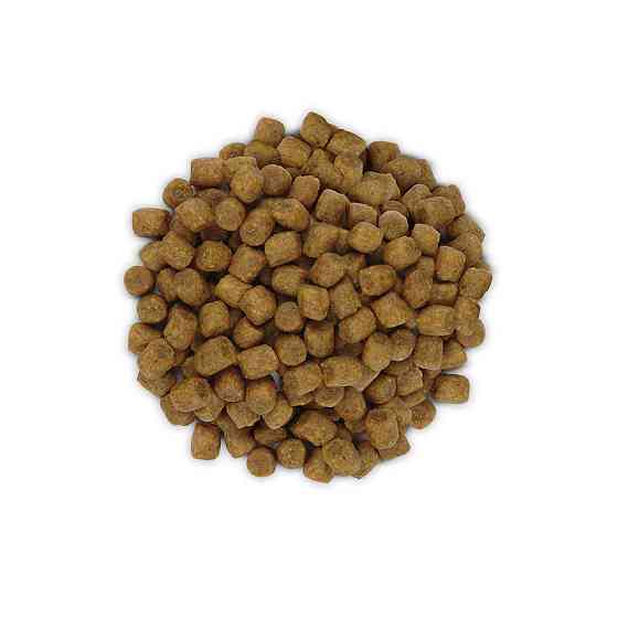 Hills Prescription Diet Feline l/d Chicken (Хиллс ПД Филайн л/д Курица) для котов для печени, при липидозе Запорожье