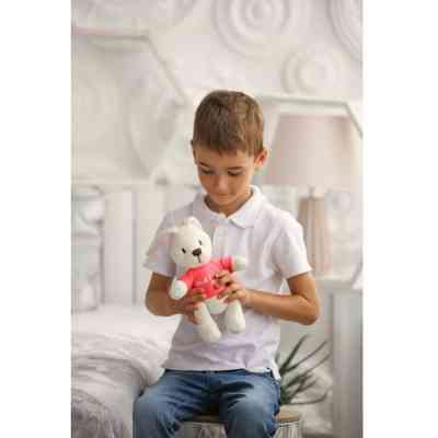 Мягкая игрушка Tigres Зайка Джесси merci (ЗА-0059) Винница