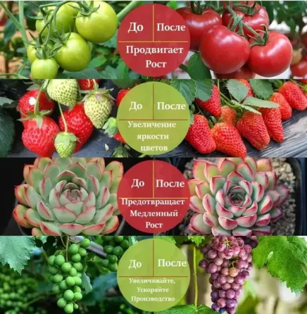 Фитолента для роста саженцев от USB питания фитолампа спектр LED 2 м Коломия