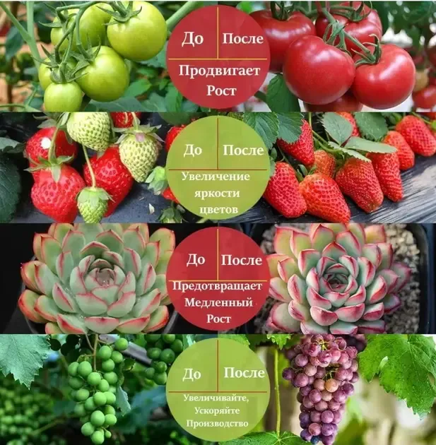 Фитолента для роста саженцев от USB питания фитолампа спектр LED 2 м Коломия - фото 5