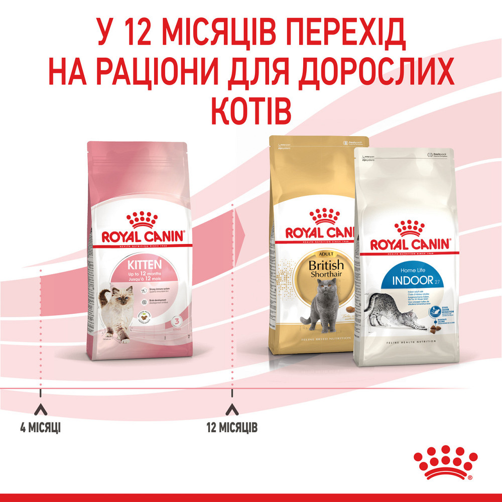 Royal Canin Kitten (Рояв Канін Кіттен) сухий корм для котят під час другої фази росту 10 кілограмів. Запоріжжя - фото 10