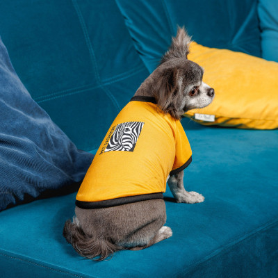 Футболка для тварин Pet Fashion Jessica XS жовта (4823082441297) Вінниця - фото 4