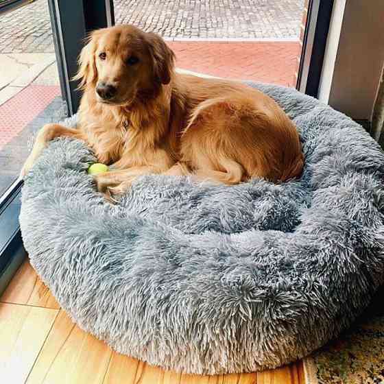 Лежанка для котів і собак Incor «Ворс» сіра 3XL (100см) Київ