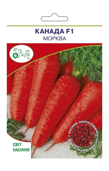 Насіння Морква Канада F1 Київ - фото 1
