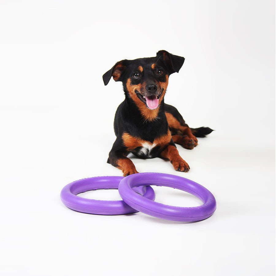 Тренувальний снаряд для собак PULLER Мini, (діаметр 18см) Коломия - фото 4