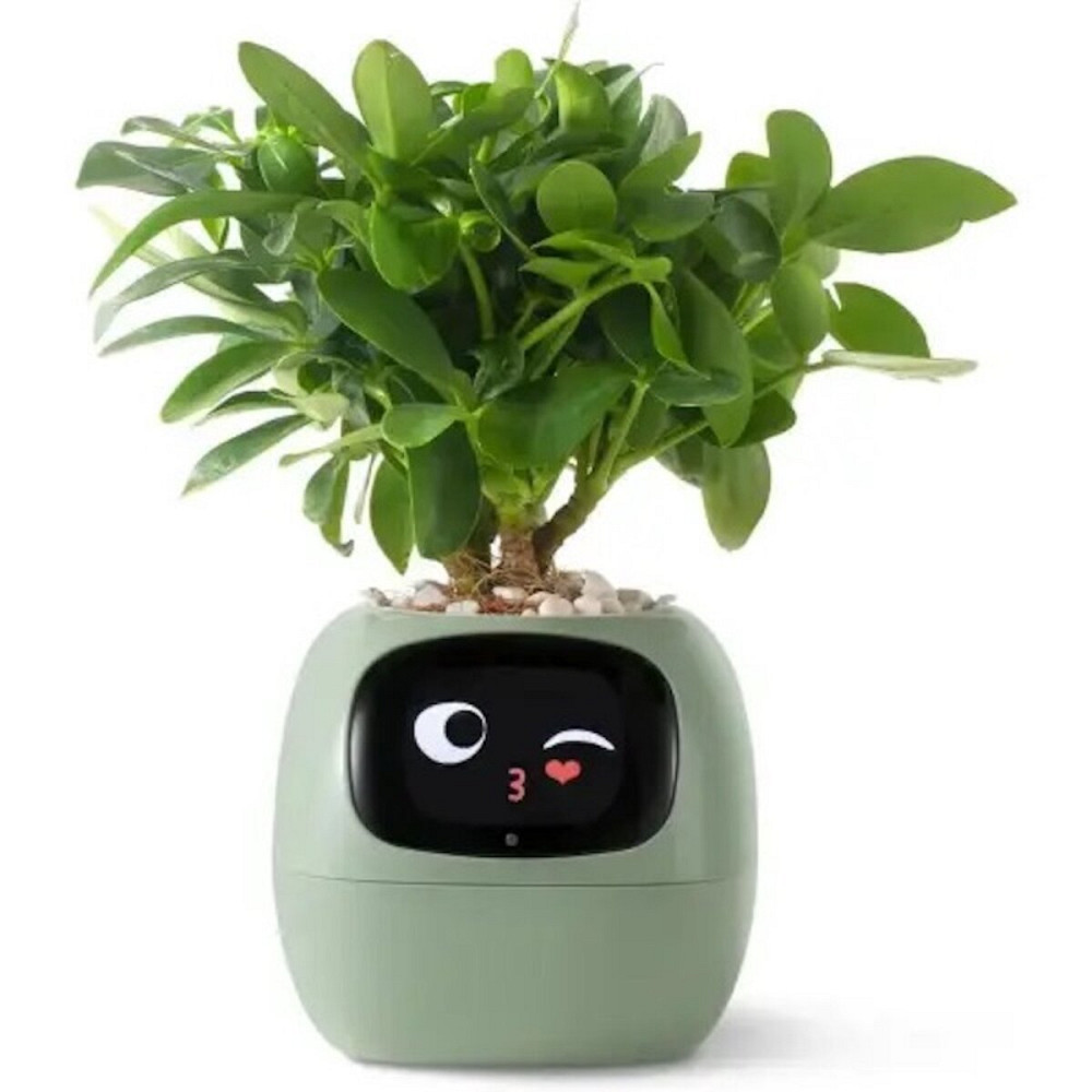 Інтерактивний розумний горщик для рослин ivy Smart Planter tuya ai - Зелений Київ - фото 1