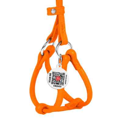 Шлей для собак WAUDOG Glamour с поводком круглая Д 6 мм А 42-60 см В 46-64 см оранжевая (34024) Винница