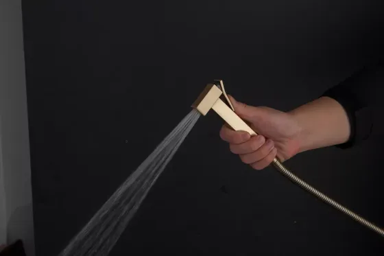 Гігієнічний душ прихованого монтажу GAPPO G7207-4 бронза Київ