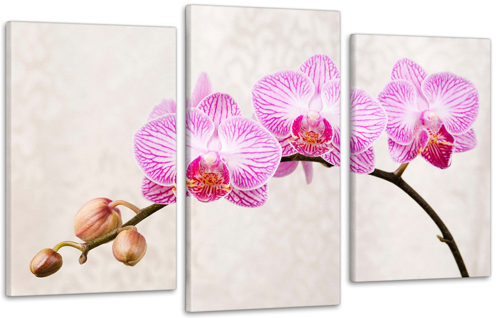 Модульная картина Цветы Орхидея Art-138_3 100x150 см Киев - изображение 1
