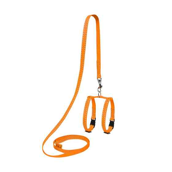 Шлея Dog Extreme из нейлона регулируемая с поводком для морских свинок, декор.крис (ширина 10мм, длина 115см, В:12-22см) Киев