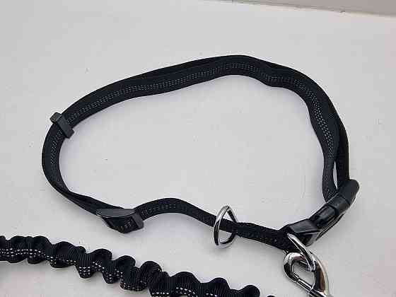 Сумка і повідок для вигулу собак 22838 Луцьк