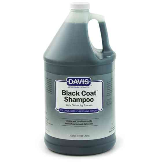 Davis Black Coat Shampoo ДЕВІС БЛЕК КОУТ шампунь для чорної шерсті собак і котів, концентрат Київ