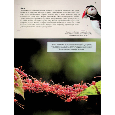 Книга Велика книга тварин - Клаудія Мартін Vivat (9786171704794) Винница - изображение 2