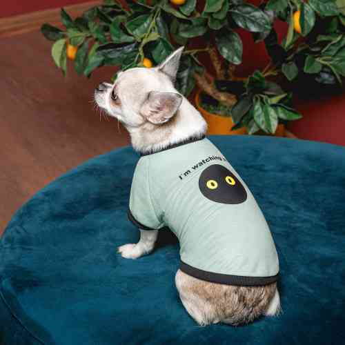 Футболка Pet Fashion Oscar для собак хлопок трикотаж рибана голубая XXS Киев