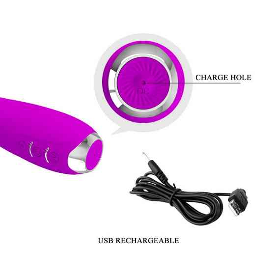 Вибратор - Pretty Love Hector Vibrator Purple (App) Sex Aura Киев