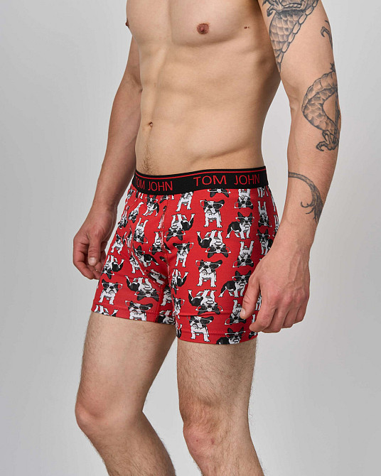 Боксеры мужские Tom John - Tiger 2200-7 XL Киев - изображение 1