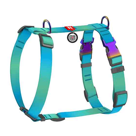 Шлей для собак анатомический H-образный WAUDOG Nylon Recycled с QR-паспортом, градиент, M, Ш 20 мм, А 40-70, B 47-65 голубой Киев