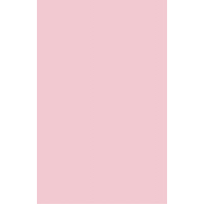 Папір Buromax А4, 80g, PASTEL pink, 20sh, EUROMAX (BM.2721220E-10) Вінниця - фото 2