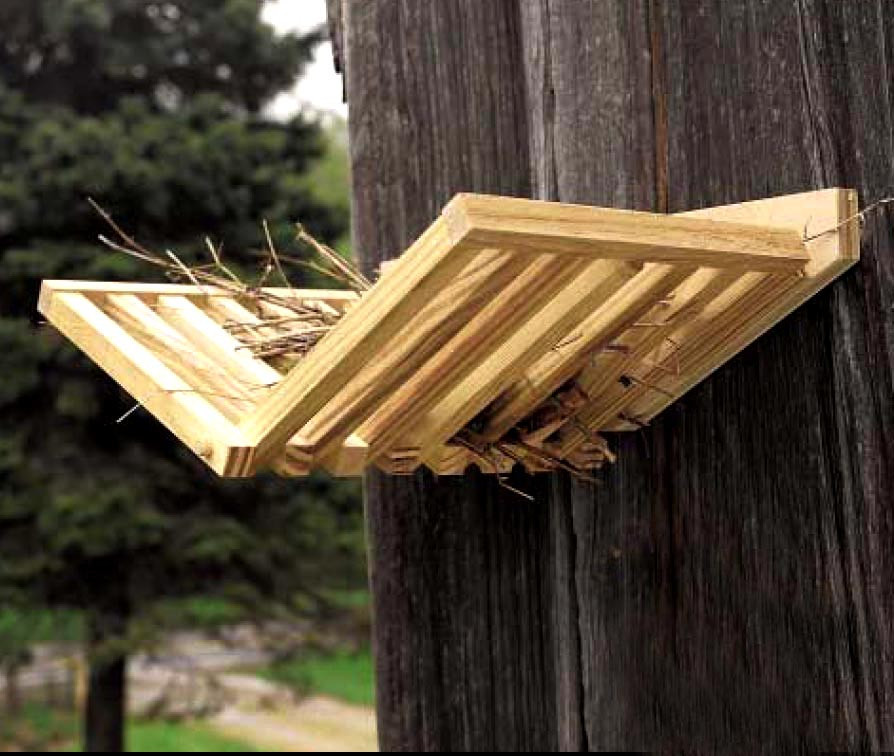 Гнездовье для птиц 