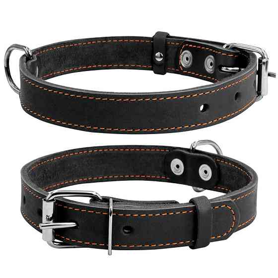 Нашийник "CoLLaR" одинарний (ширина 35мм, довжина 48-63см) чорний Київ