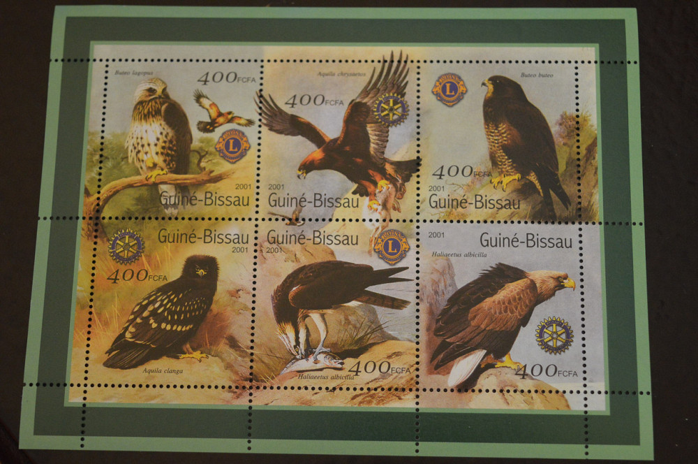 Гвинея. Фауна. Блок. 2015 год (В-7) Полтава - изображение 1