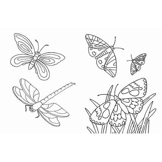 Велика книга розмальовок Тварини 1736031, 64 сторінки Вінниця