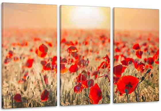 Модульная картина Природа Маки  Art-64_3А 70x130 см Киев