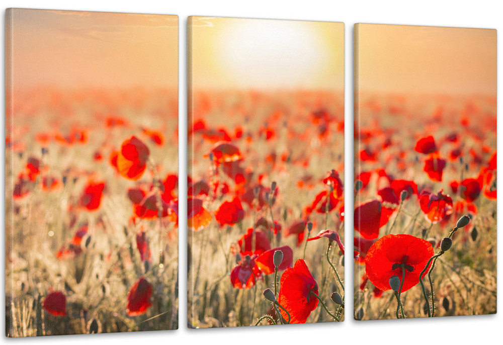 Модульная картина Природа Маки  Art-64_3А 70x130 см Киев - изображение 1