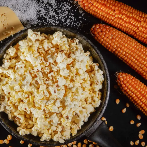 Кукурудза Естрелла F1 20шт Професійне насіння Житомир