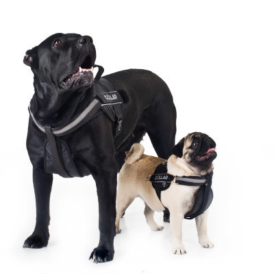 Шлей для собак Dog Extreme Police N2 40-60 см черная (07051) Винница - изображение 3